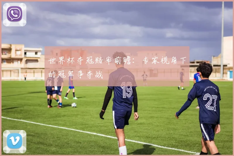 世界杯夺冠赔率前瞻：专家视角下的冠军争夺战