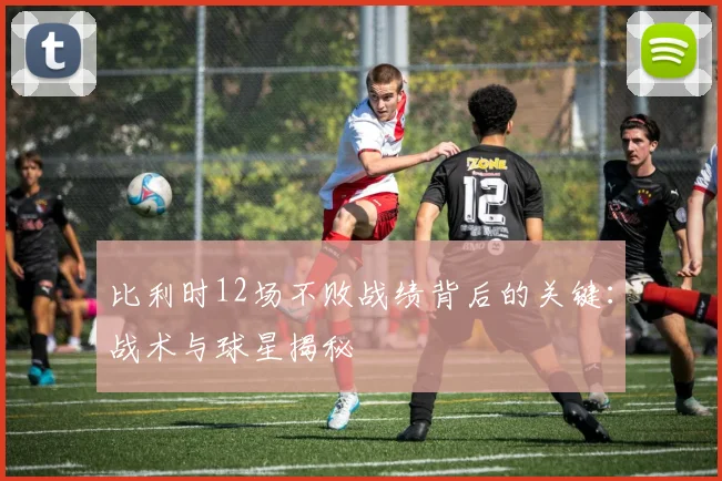 比利时12场不败战绩背后的关键：战术与球星揭秘